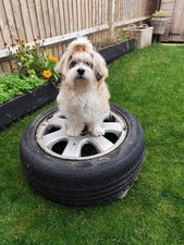GENUINE MERCEDES ALLOY WHEELS