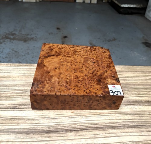 Thuya burr 8 x - 1,