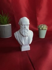 Charles Darwin Desktop Decoration Bust Sculpture - Decorative Art Statue