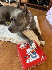 Super Tiger G61 ABC Rc glow