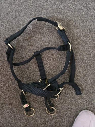 Monty roberts dually - roberts,