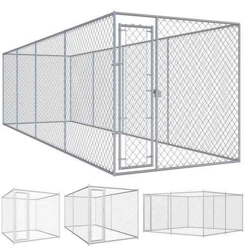 Large outdoor dog - outdoor,