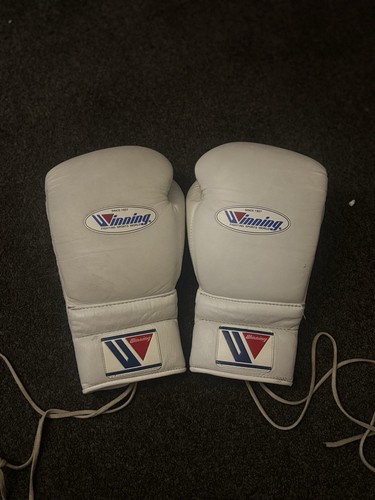 Winning boxing gloves - winning,