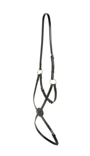Collegiate grackle noseband - noseband,