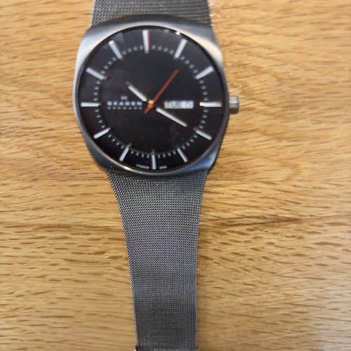 Skagen titanium case watch day - case,