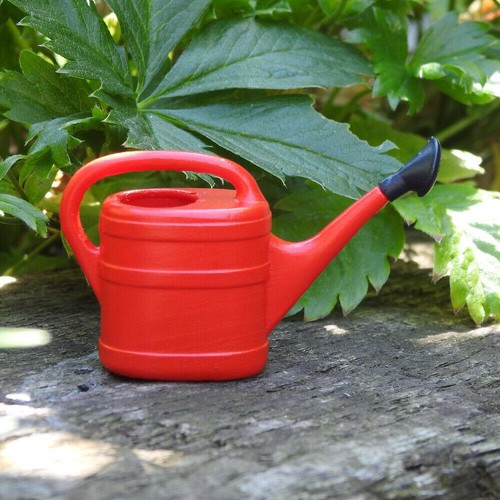 Whitefurze watering can - watering,