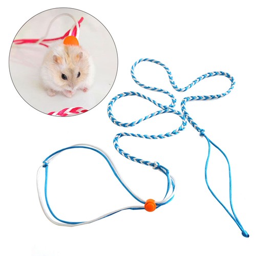 Rat harness ferret leash - rat,