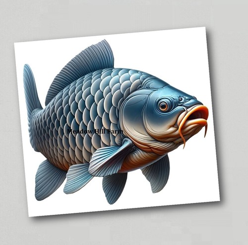 Fridge magnet common mirror - fridge,