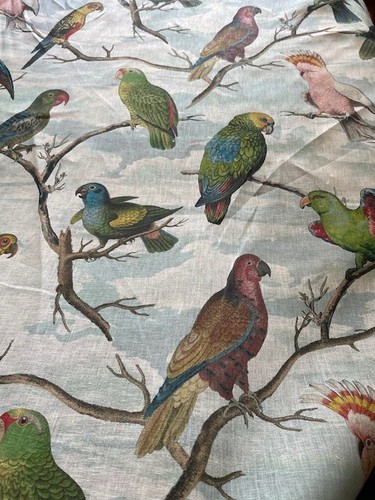 Designers guild parrot aviary - designers,
