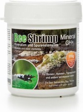 Salty Shrimp – Bee Shrimp