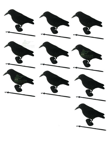 Flocked crow full - flocked,