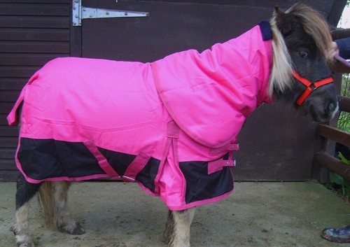 Sale 100g turnout rug - sale,