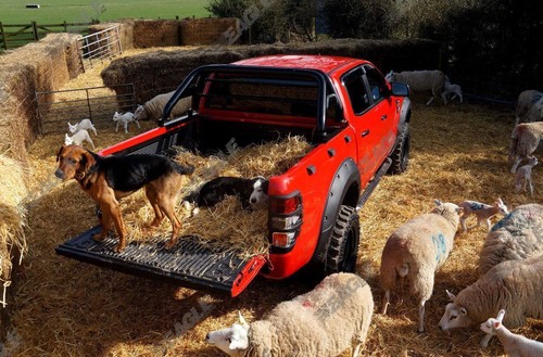 For ford ranger black roll - black,