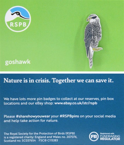 Rspb pin badge niic goshawk - rspb,