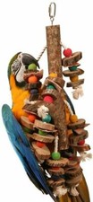 Giant Macaw Parrot Swing