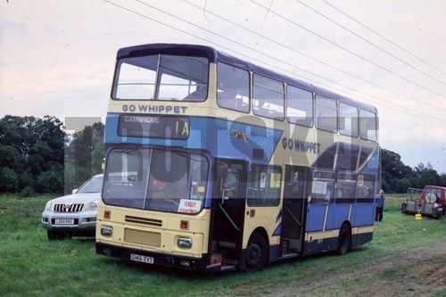 35mm slide whippet - 35mm,