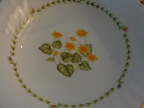 Trade winds tableware dessert - winds,