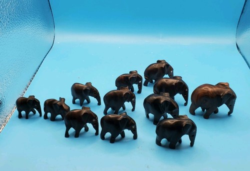 Herd brown ebony - of, 12