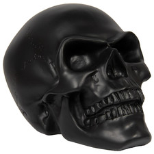 Skull Ornament Human Head