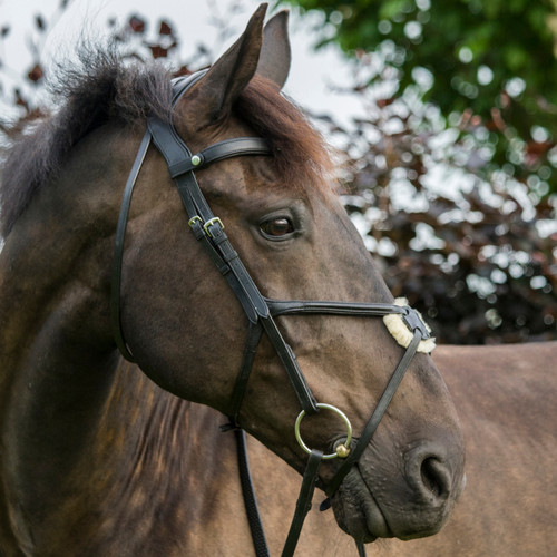 Eco rider grackle bridle - rider,