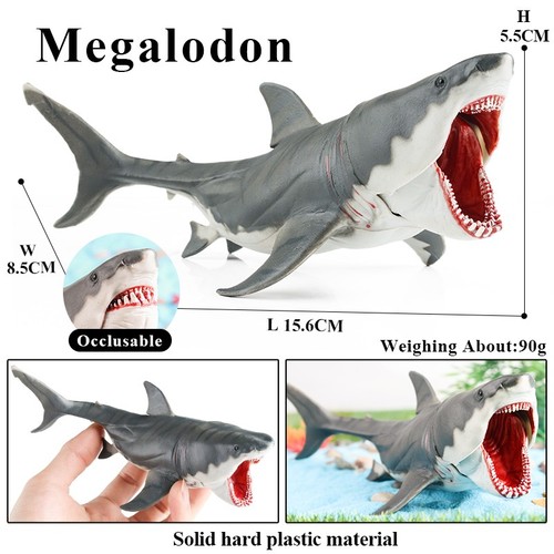 Large shark ocean - shark,
