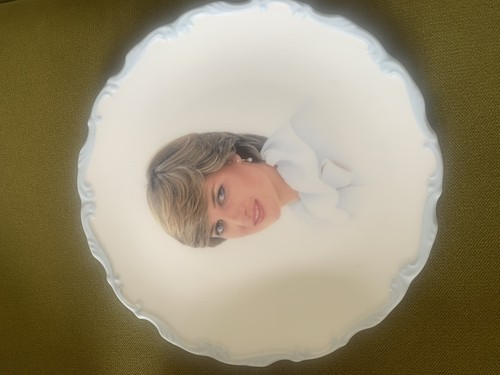 Lady diana princess wales - lady,