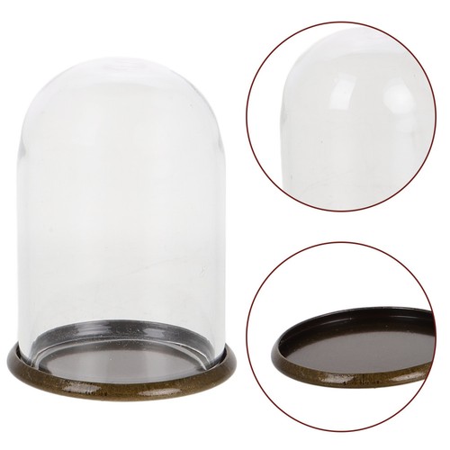 4pcs clear glass dome - 4pcs,