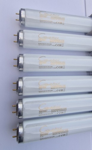Cosmedico cosmolux 10k100 160w - cosmolux, 10k100-160w