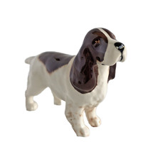 Beswick Cocker Spaniel Brown & White #1754  Gloss 1961-1999 3.0” Tall Vintage