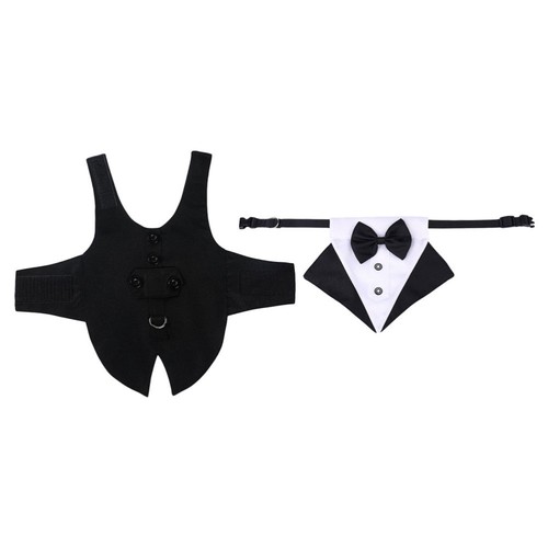 Set dog suit and - set,