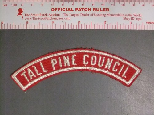 Boy scout tall pine - scout,