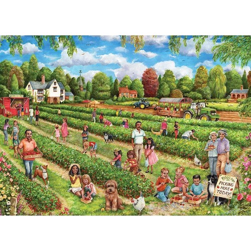 Falcon strawberry picking 1000 - falcon,