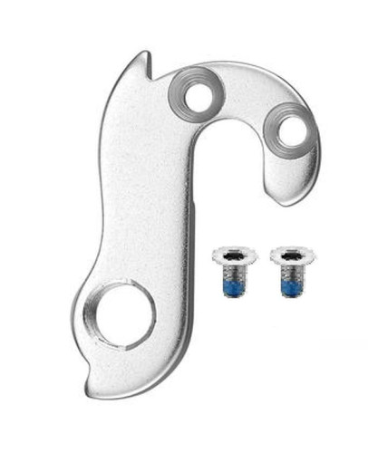 Rear derailleur hanger bolts - hanger,