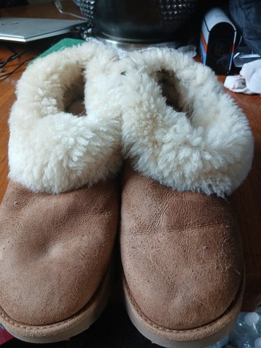 Uggs ankle boots - uggs, women's