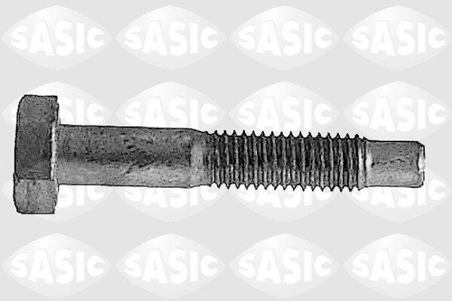 Sasic 5223433 clamping screw - sasic,