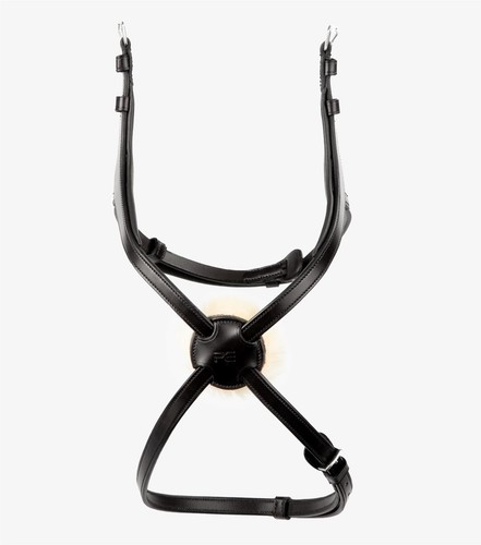 Premier equine glorioso - premier,