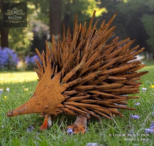 Rusty metal hedgehog garden - rusty,
