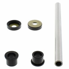 Revision Arm Oscillator ABR