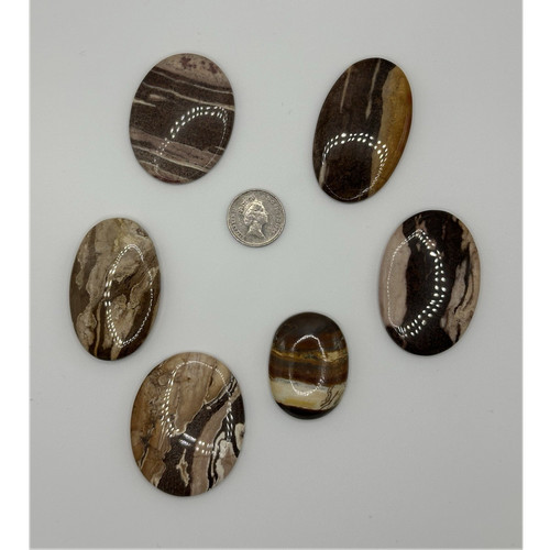 Set zebra jasper brown - of,