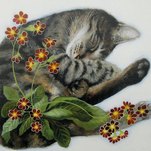 Sleeping amongst the - sleeping,