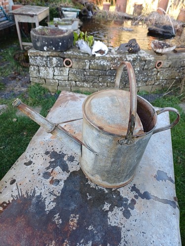 Lovely vintage gallon - 2.5,