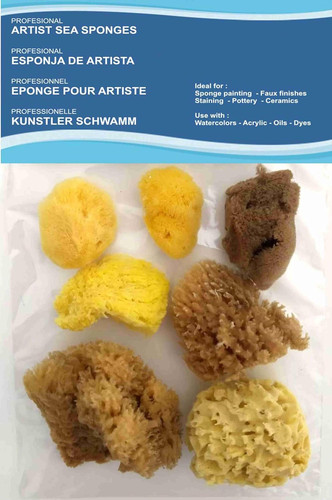 Artists natural sea sponges - sea,