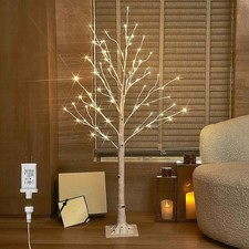 Hairui white birch twig tree - hairui,