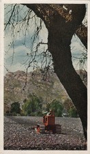 Postcard Advertising Model M