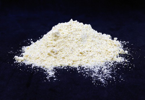 Maize flour fishing bait - maize,