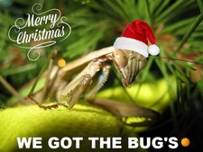 ONE Fresh Picked Praying