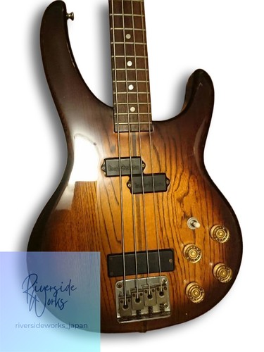 Washburn style active bass - style,