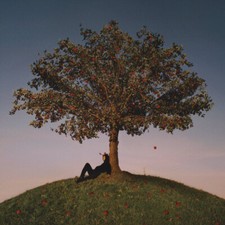 SLOWTHAI - TYRON VINYL LP MTHDVF002 ft SKEPTA ASAP ROCKY DENZEL CURRY   SEALED