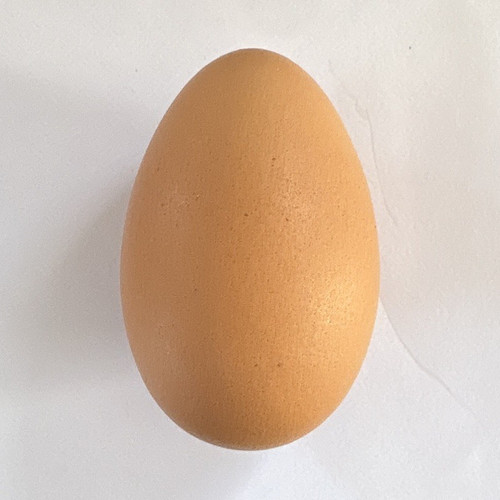 Long egg