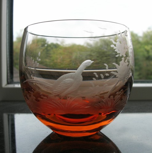 Moser birds the wild - of,